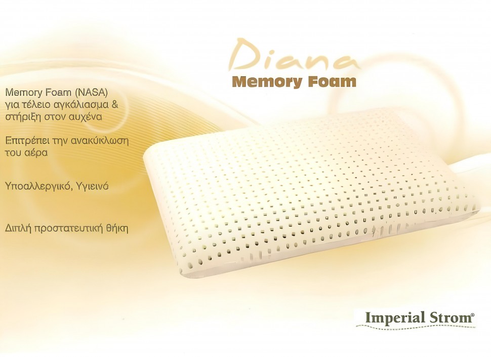 Μαξιλάρι Diana Imperial Strom Μέτριο (46 x 66cm) (Preview 2)