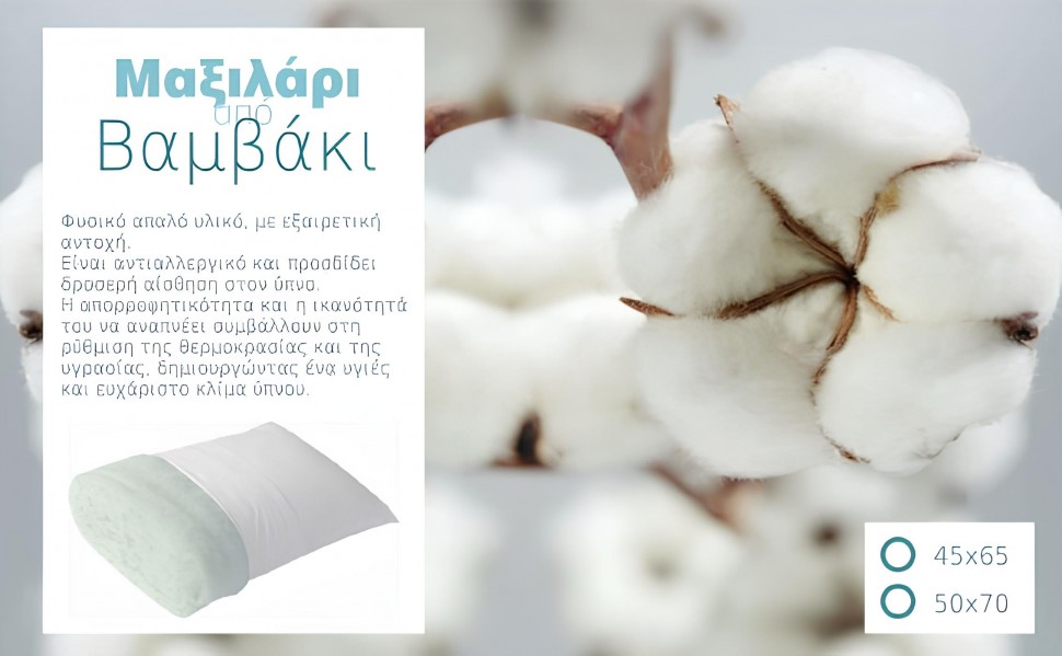 Μαξιλάρι από Βαμβάκι (50 x 70cm) (Preview 2)