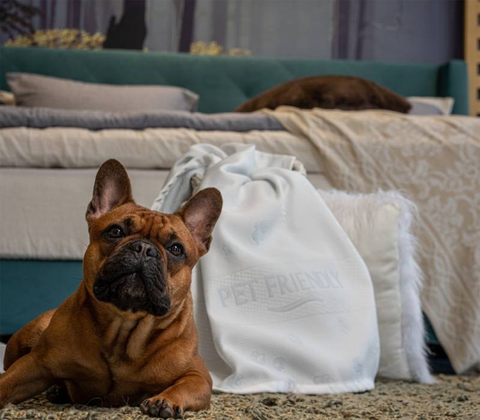 Επίστρωμα Pet Friendly Media Strom (Preview 1)