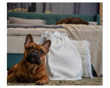 Επίστρωμα Pet Friendly Media Strom